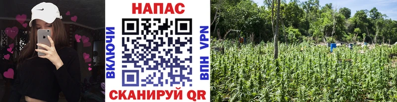 Где продают наркотики Туринск A-PVP Гашиш АМФ Cocaine Метамфетамин Каннабис