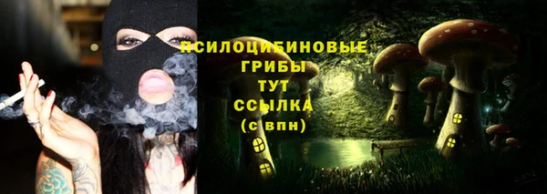 эйфоретик Наволоки