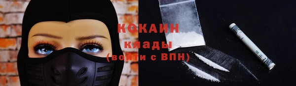 spice Богородицк