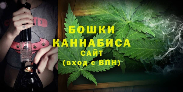трава Надым