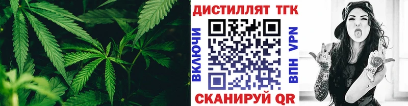 цены   Туринск  ТГК концентрат 